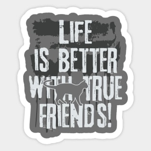 Life is better with true friends - Cat 2 Sticker